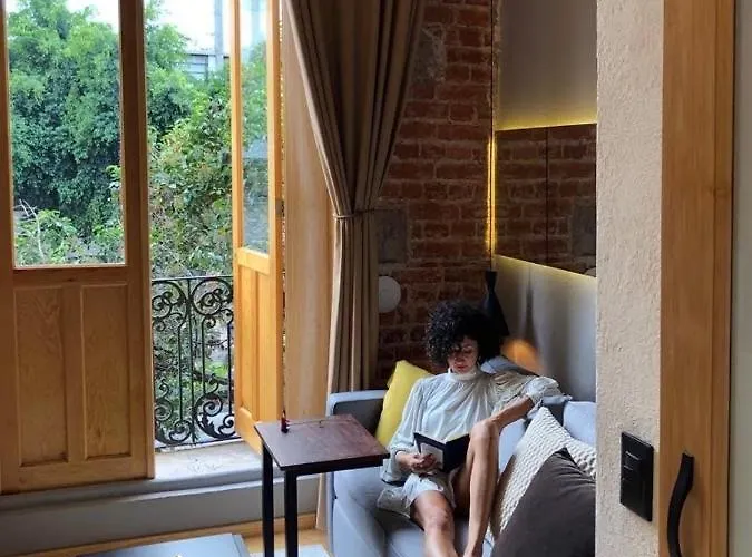 Apartamento Deluxe Smart Loft Wework Centro Historico Cdmx